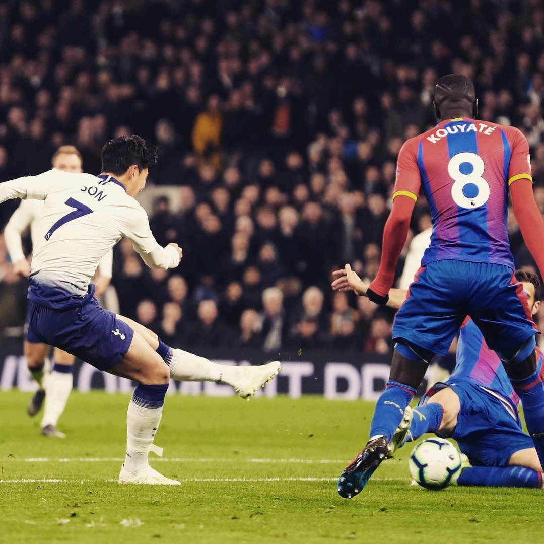 质得到了全 质得到了全